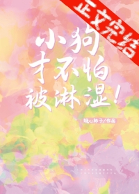 不会被雨淋湿的小狗