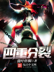 四重分裂前传