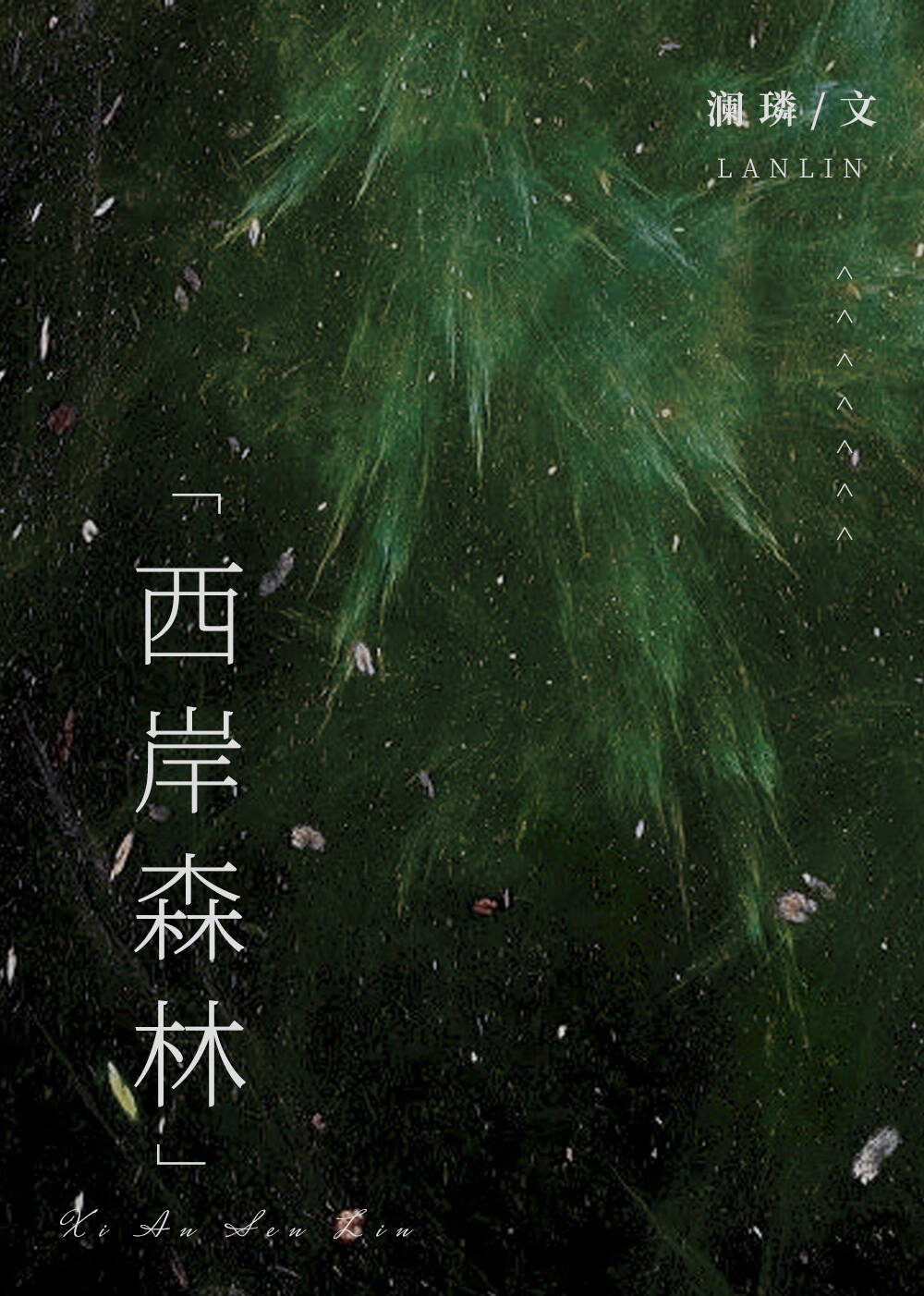 县森林火灾应急预案