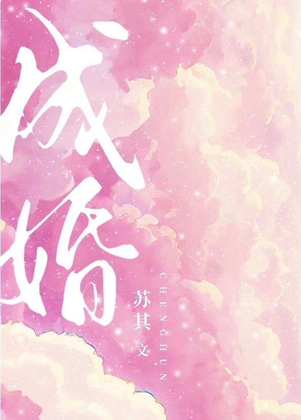 成婚的真实视频