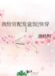 我给官配发盒饭百度云