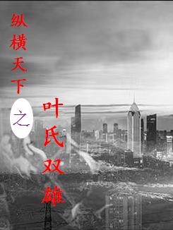 纵横天下叶天