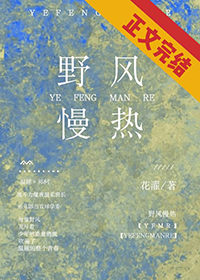 歌曲 野风