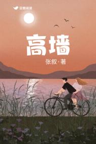 高墙边的混乱第三季