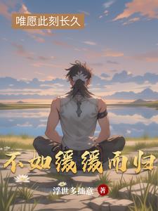 不如缓缓而归
