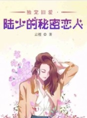 独宠旧爱amp;amp;amp;amp;#183;陆少的秘密恋人