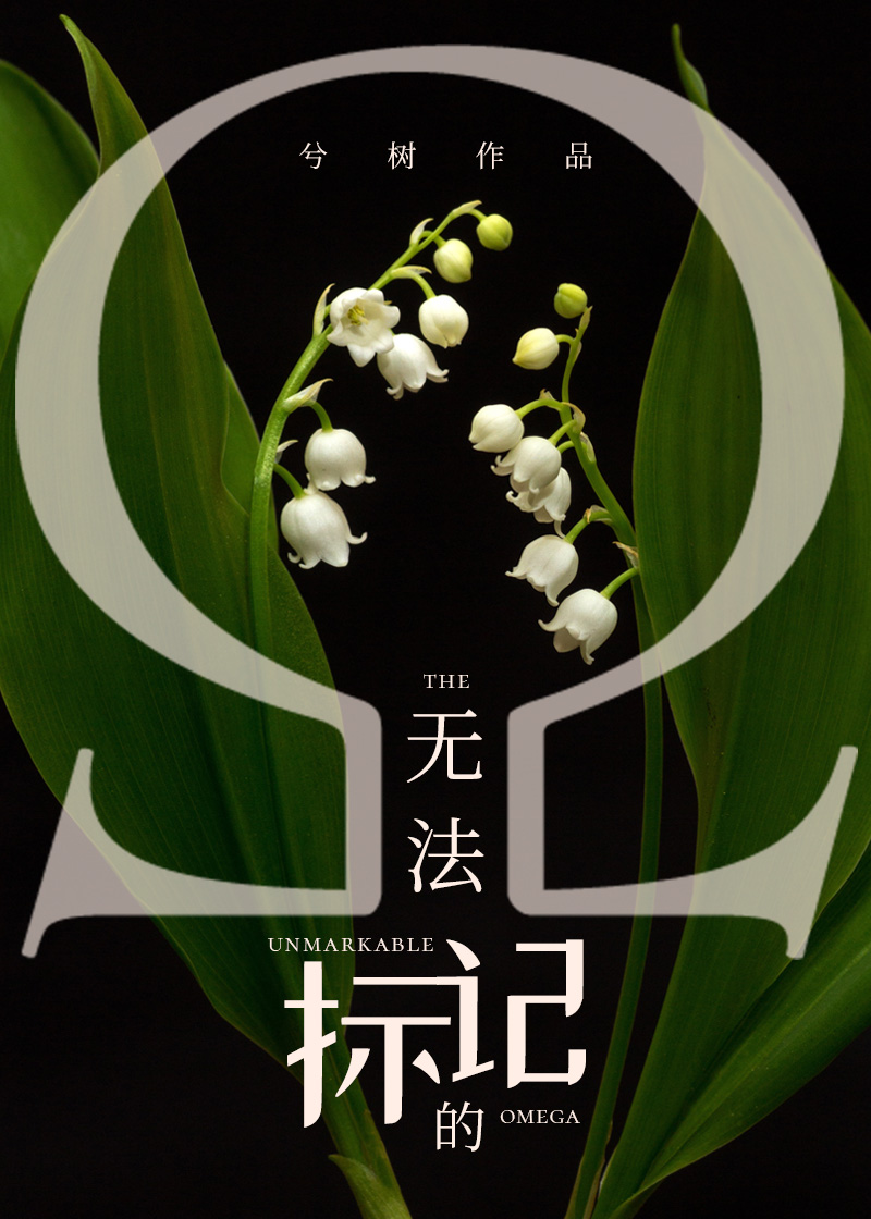 无法标记的omega男主