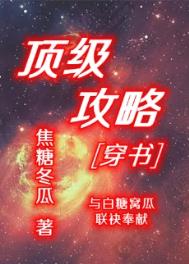 顶级攻略 穿书