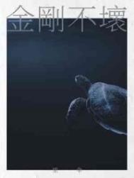 金刚不坏小说网盘下载资源