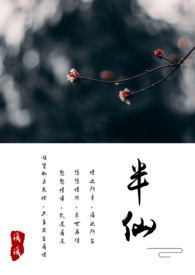 半仙txt八零电子书