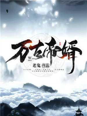 万古帝婿夜玄完整版下载
