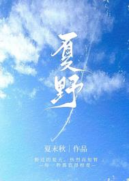夏野无趣小说沈州白