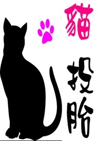 猫投食还是自动喂食