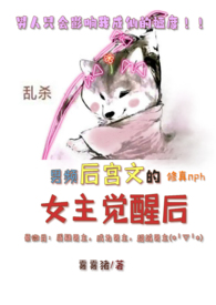 女主穿越男频后宫文