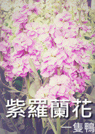 紫罗兰花摸起来
